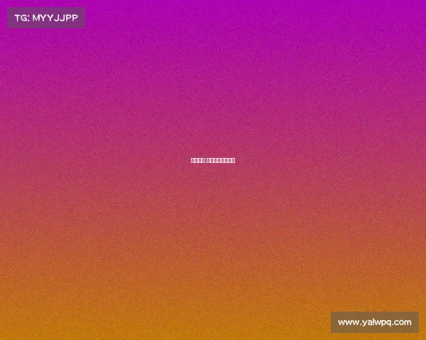 体育赛事 文件体育比赛文件